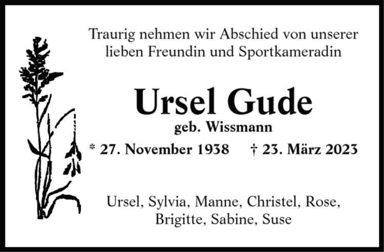 1595707(1-1)/Wiesner