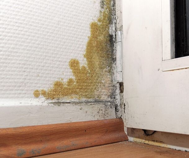 Schimmelfleck an einer Balkontür: Das Risiko für einen Befall erhöht sich, je kälter die Raumluft ist. Denn dann kann sie weniger Luftfeuchtigkeit speichern – und desto schneller kondensiert sie. Foto: Daniel Reinhardt/dpa